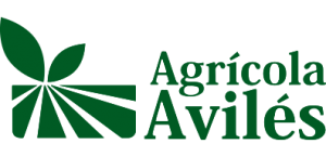 avila logo